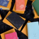 Mystery LV Cardholder / Wallet
