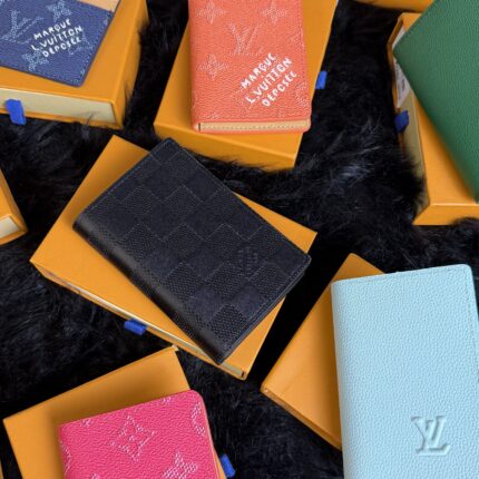 Mystery LV Cardholder / Wallet