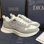 Dior B25 Grey