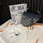 Dior Saddle Bag Women
